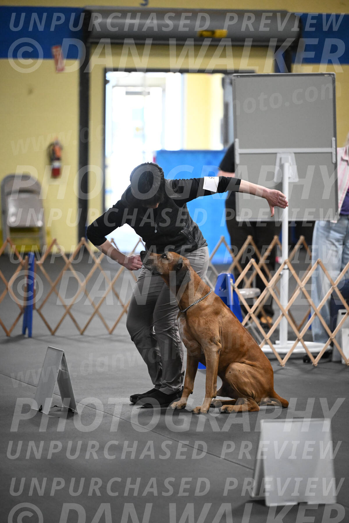 SAT903_0107