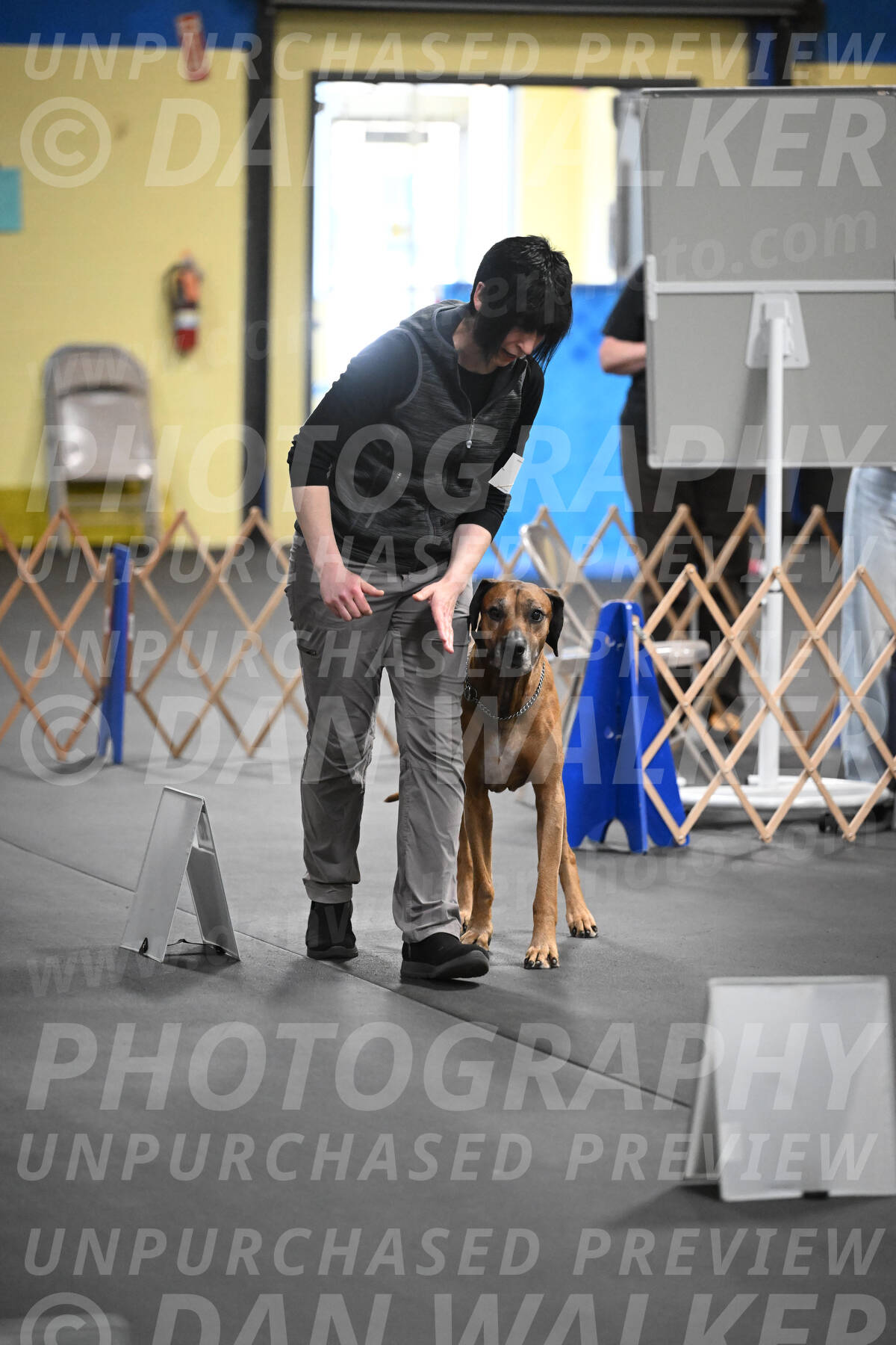 SAT903_0109