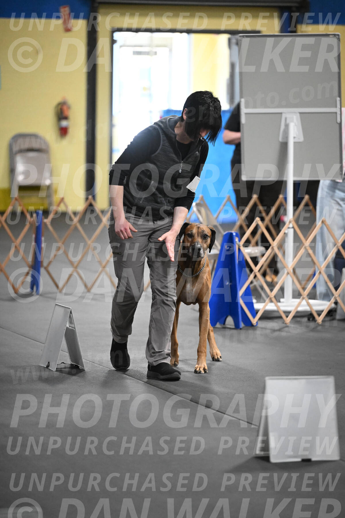 SAT903_0110