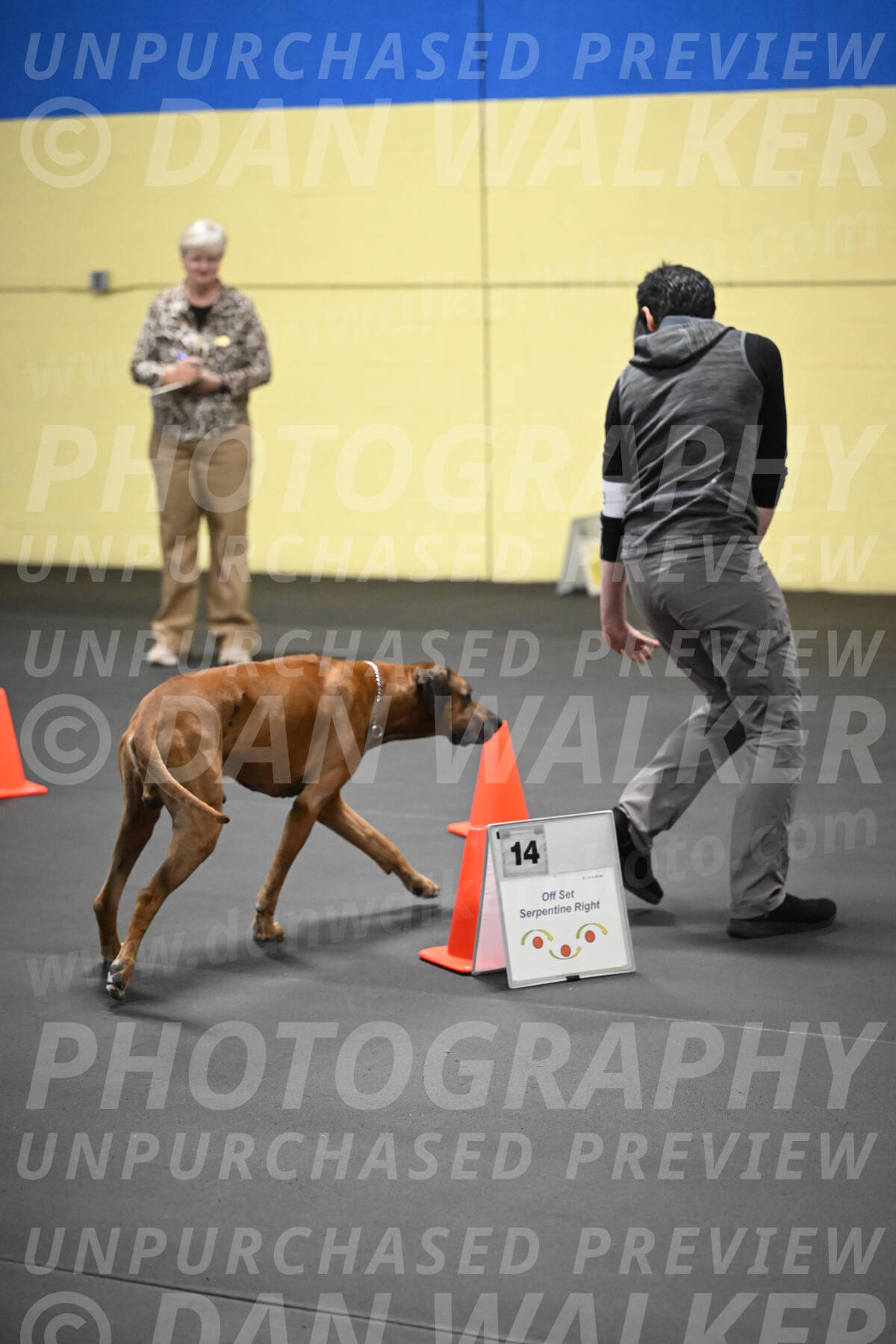 SAT903_0127