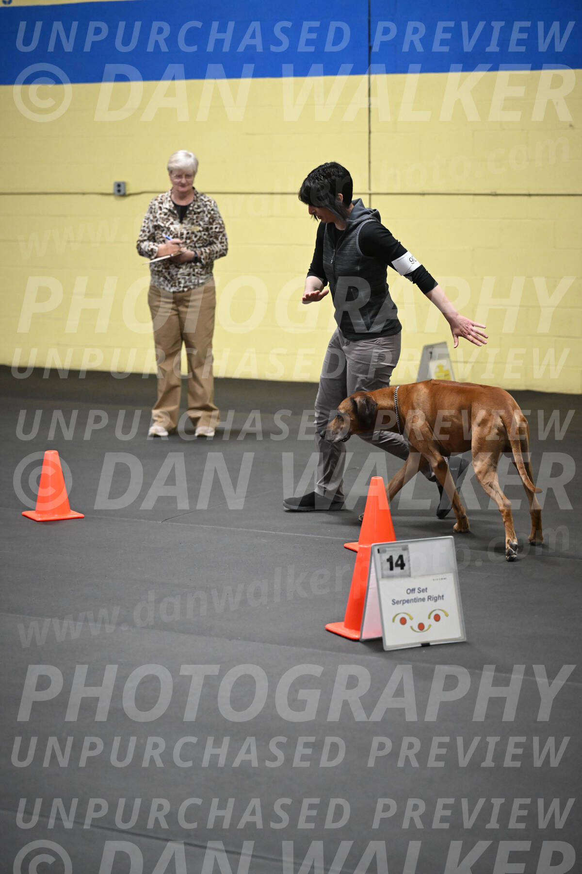 SAT903_0137