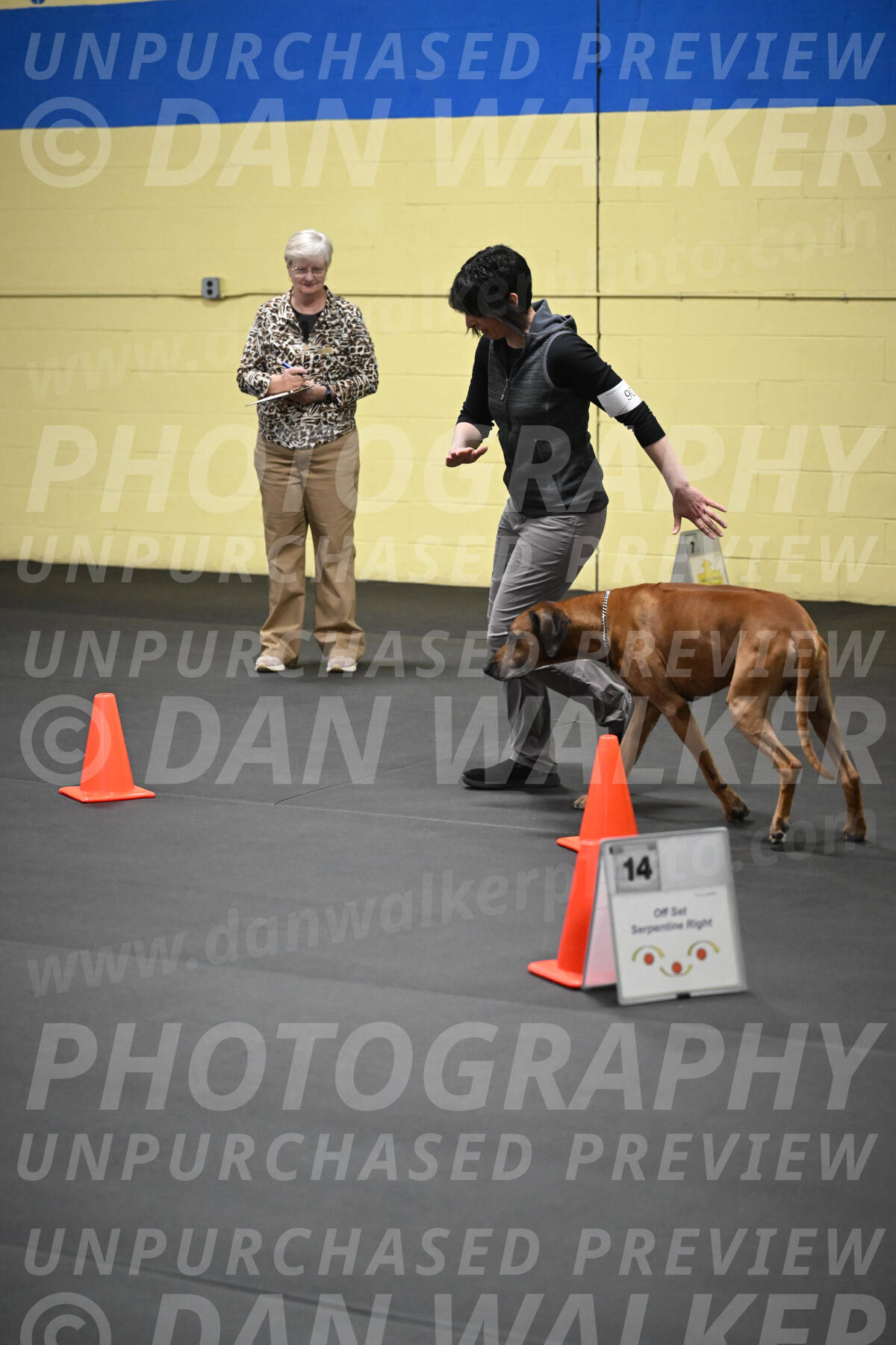 SAT903_0138