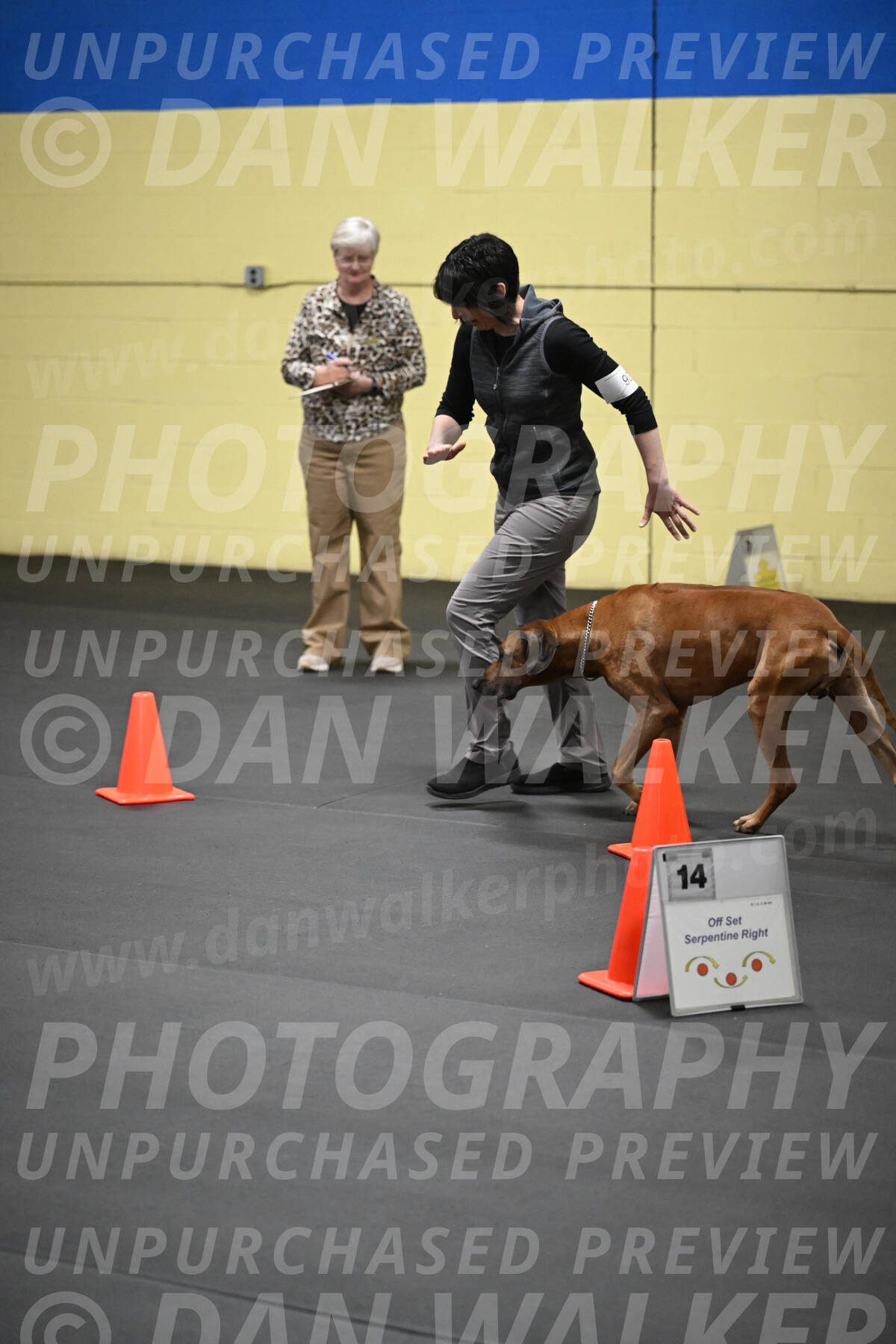 SAT903_0139
