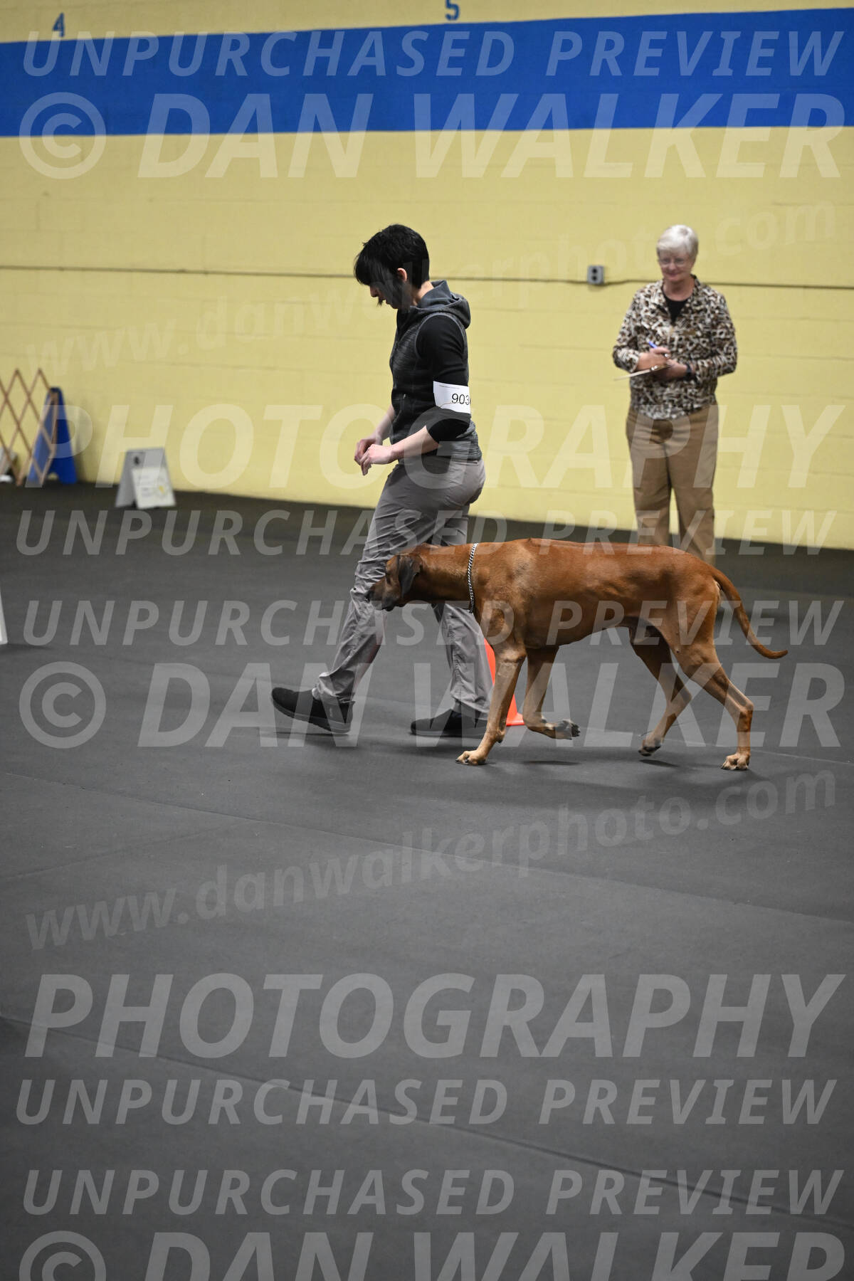 SAT903_0147