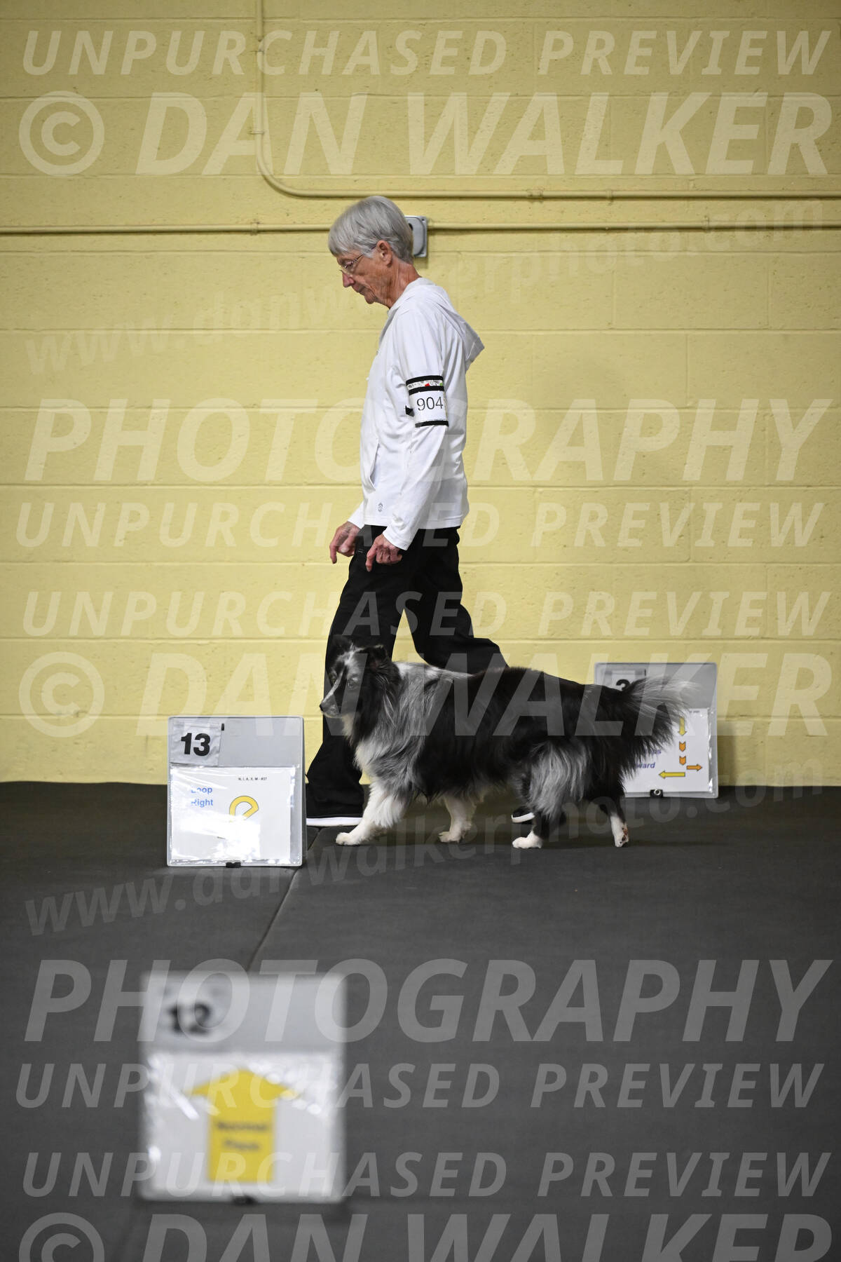 SAT904_0009