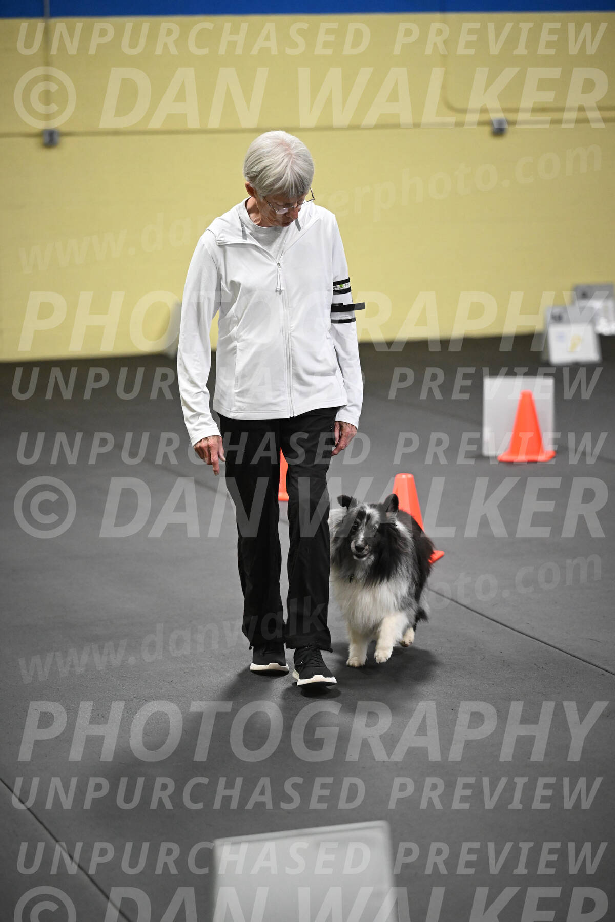 SAT904_0083