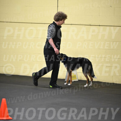 SAT905_0014
