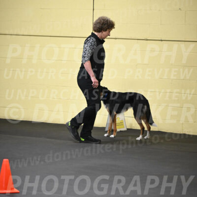 SAT905_0015