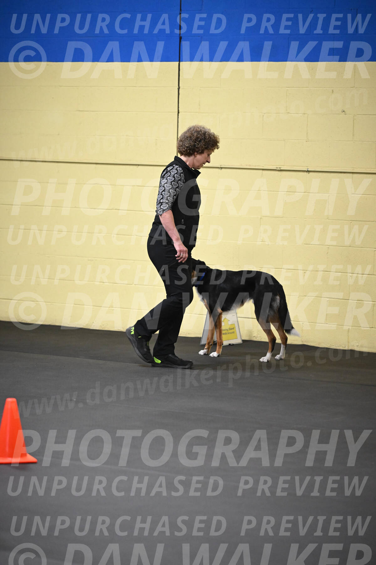 SAT905_0015