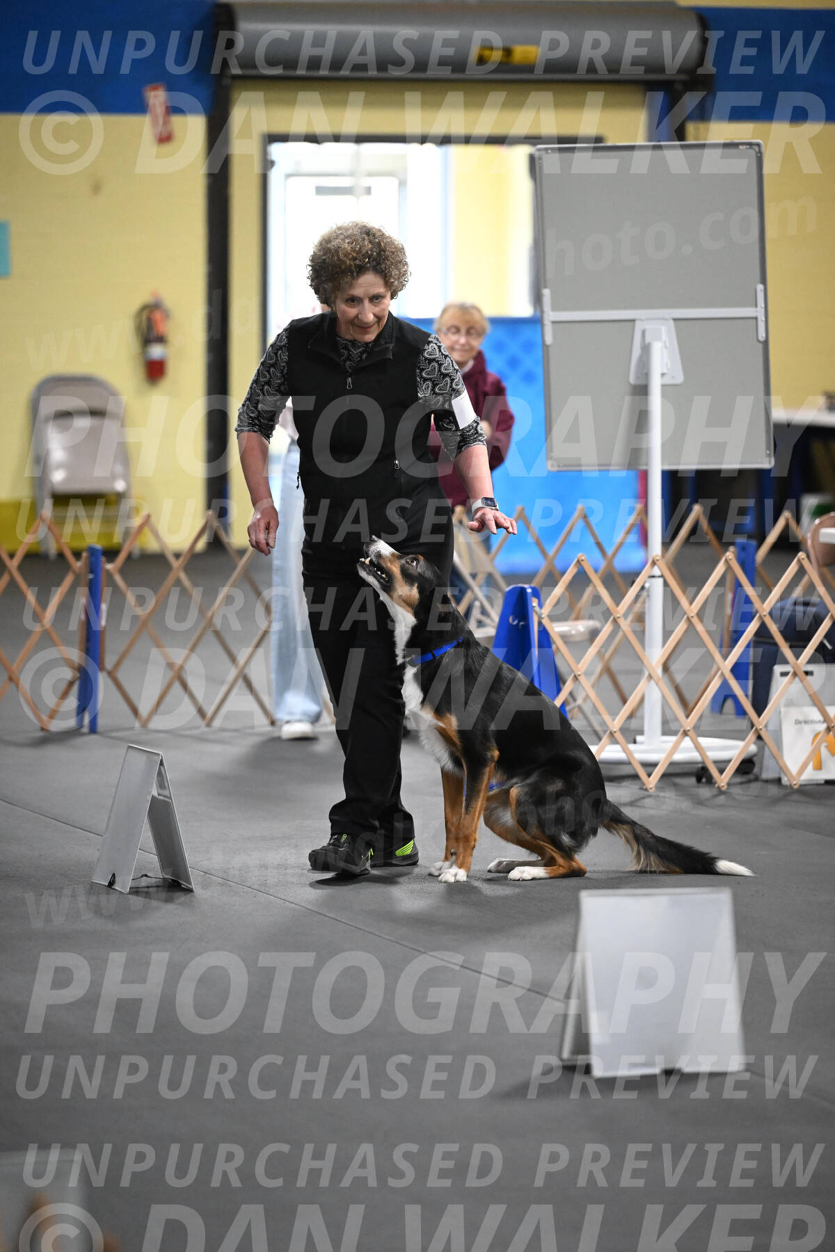 SAT905_0037
