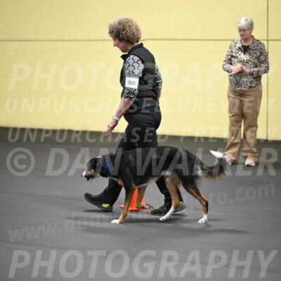 SAT905_0064