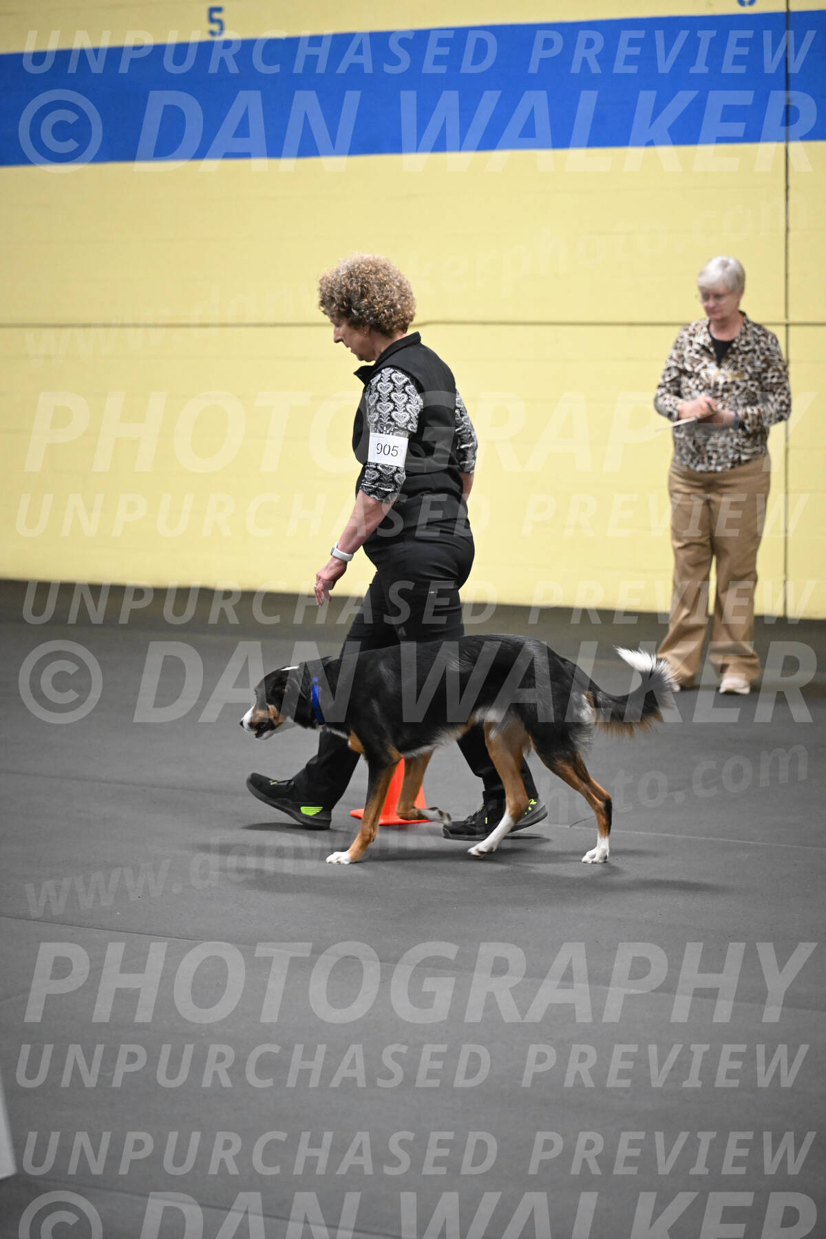 SAT905_0064