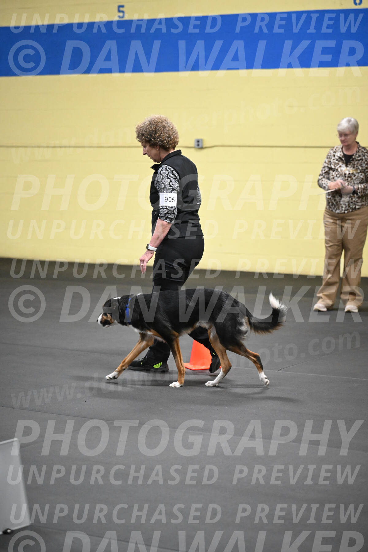 SAT905_0066
