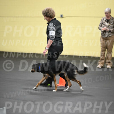 SAT905_0066