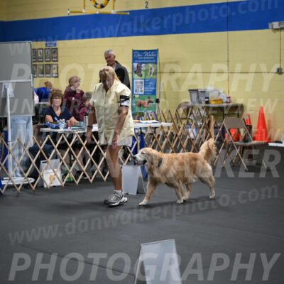 SAT906_0083