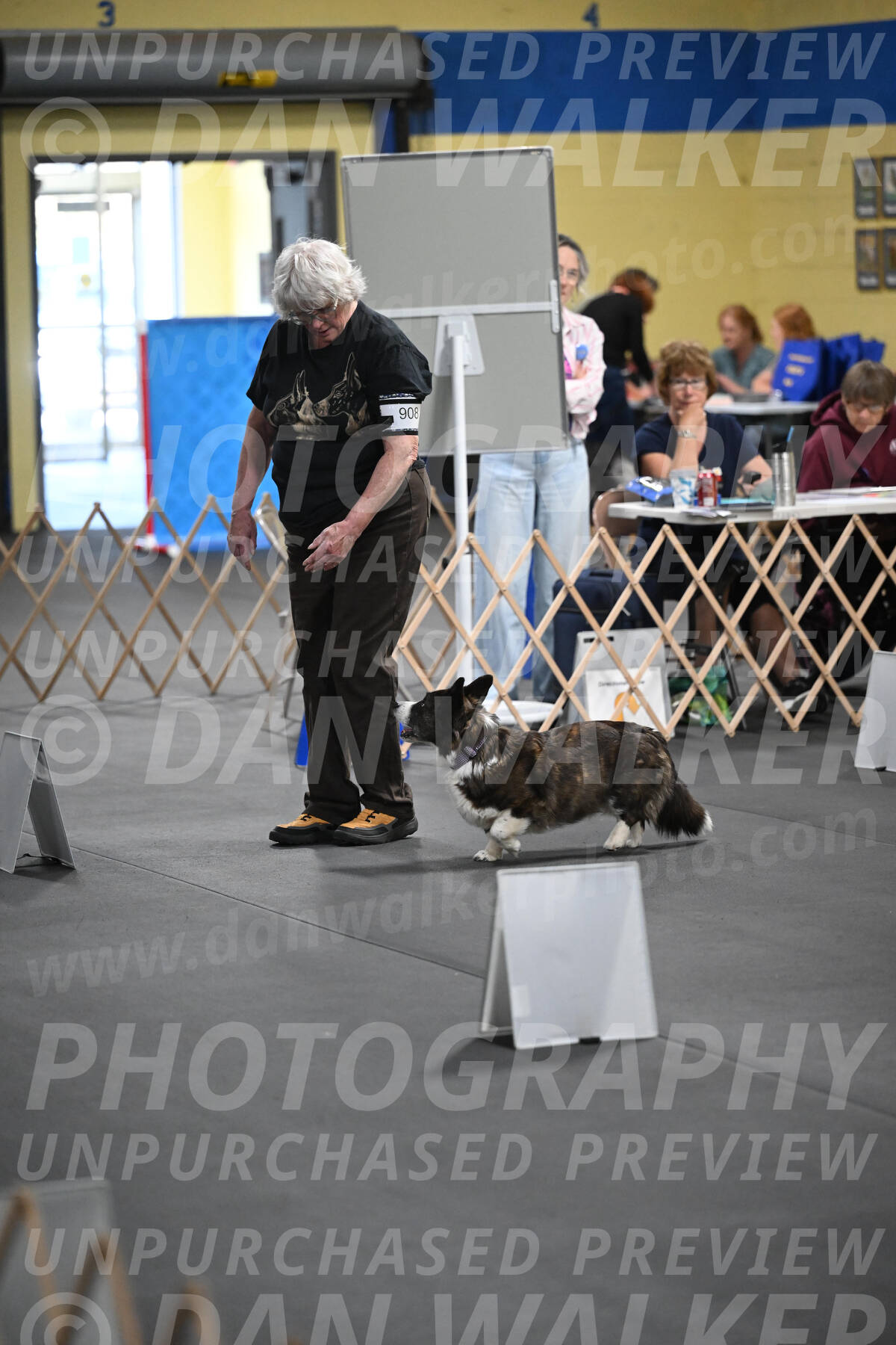 SAT908_0073