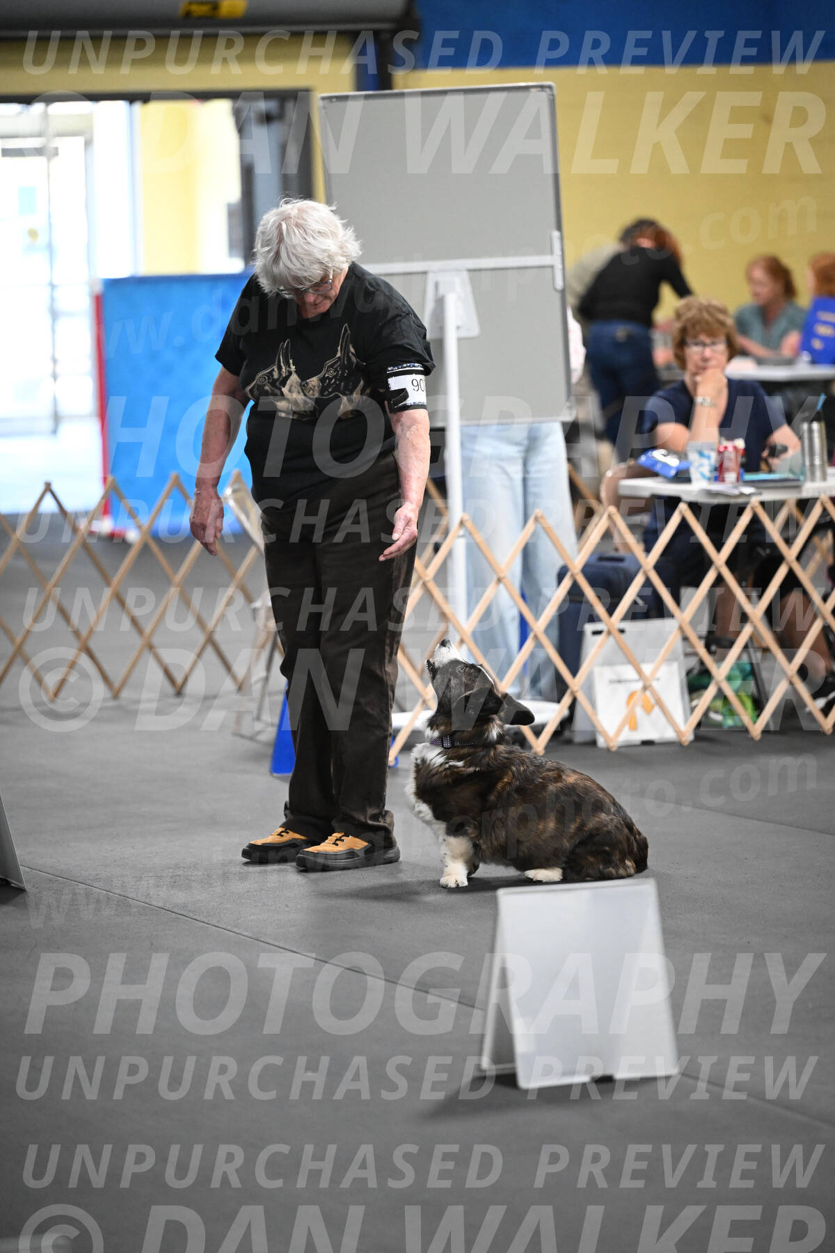 SAT908_0084