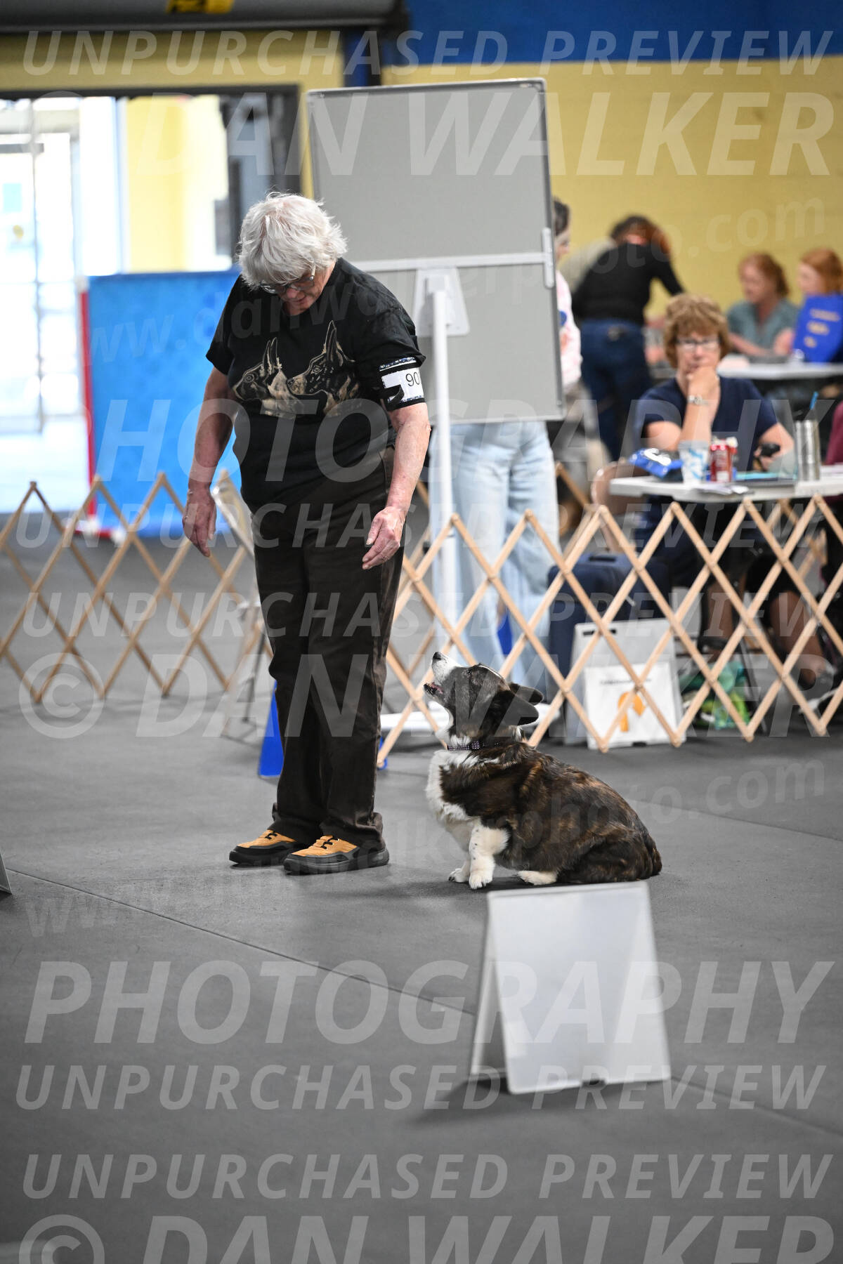 SAT908_0086