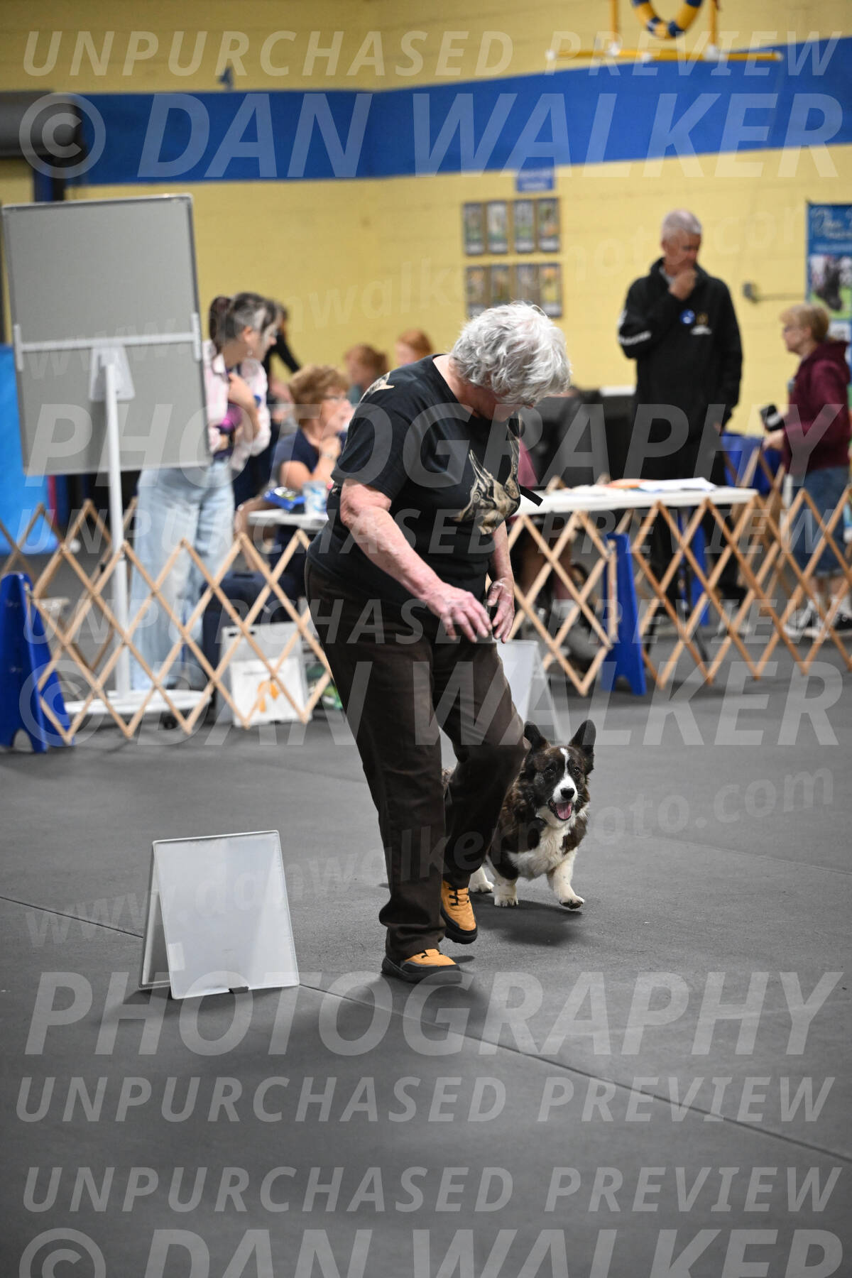 SAT908_0103