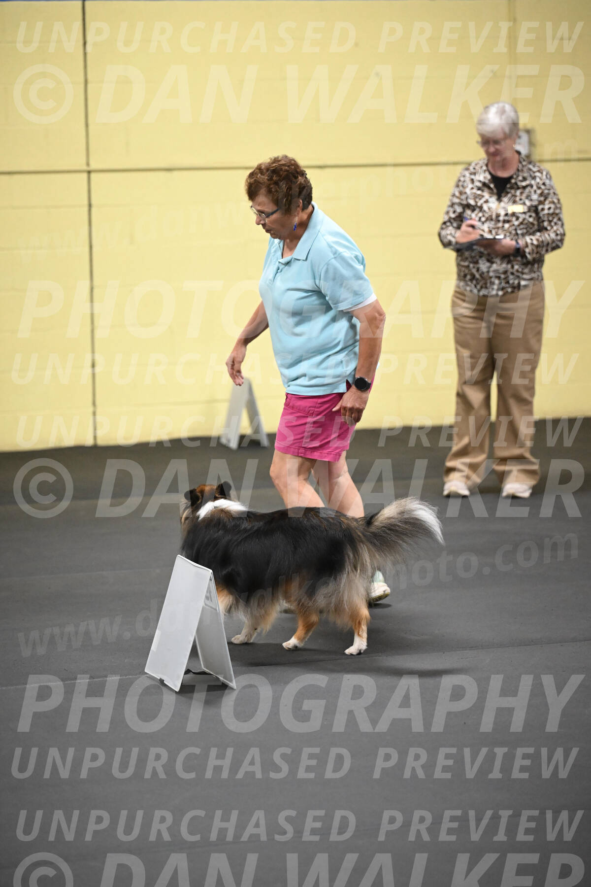 SAT909_0140