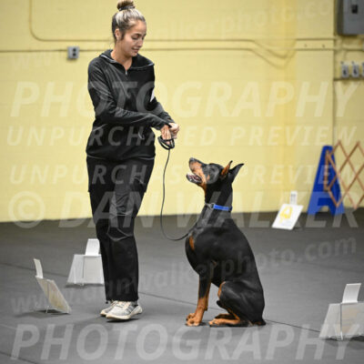 SUN104_0013