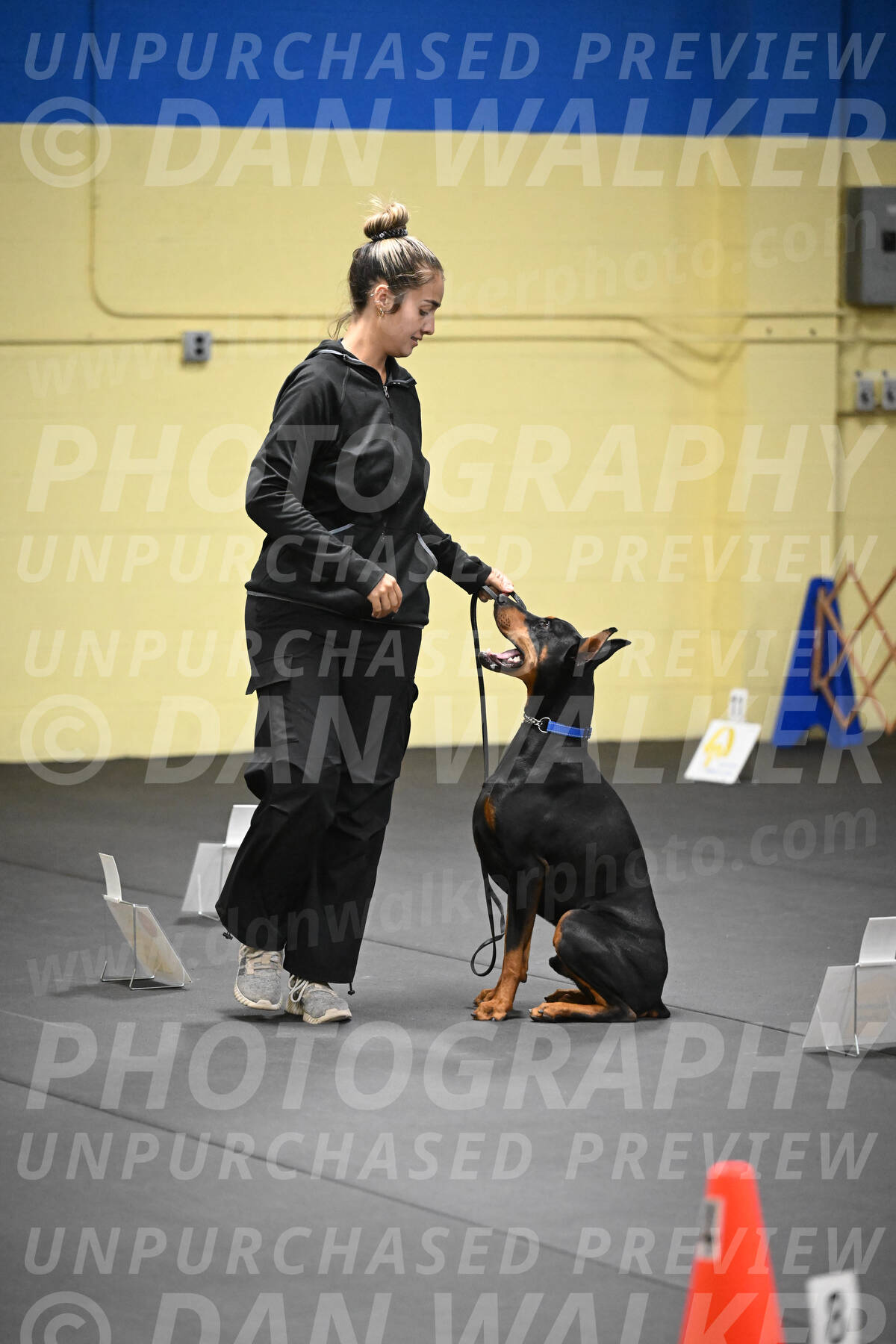 SUN104_0017