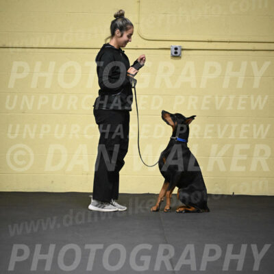 SUN104_0033
