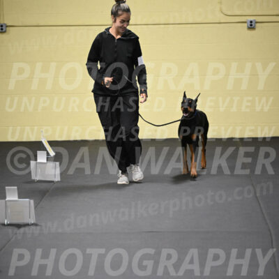 SUN104_0041