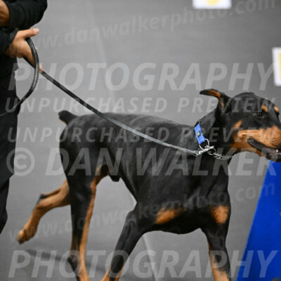 SUN104_0066