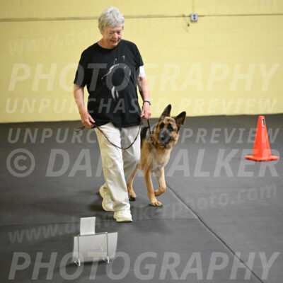 SUN201_0006