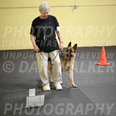 SUN201_0008