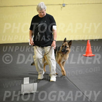 SUN201_0011
