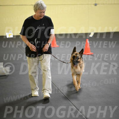 SUN201_0020