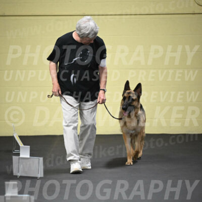 SUN201_0027