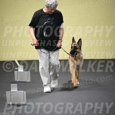 SUN201_0037