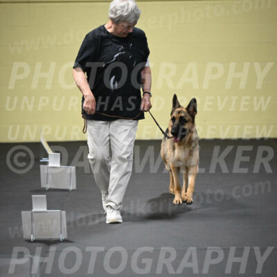 SUN201_0040