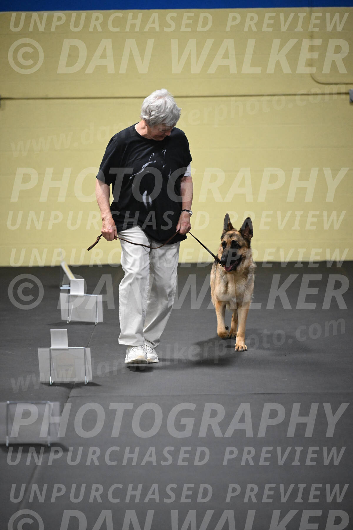 SUN201_0042