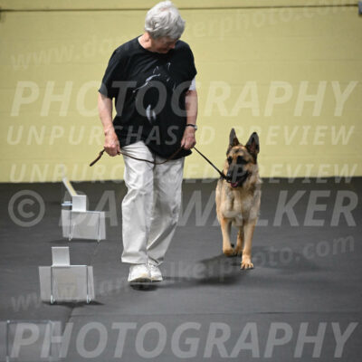 SUN201_0042