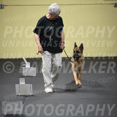 SUN201_0043