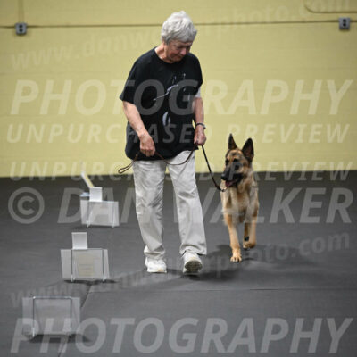 SUN201_0045