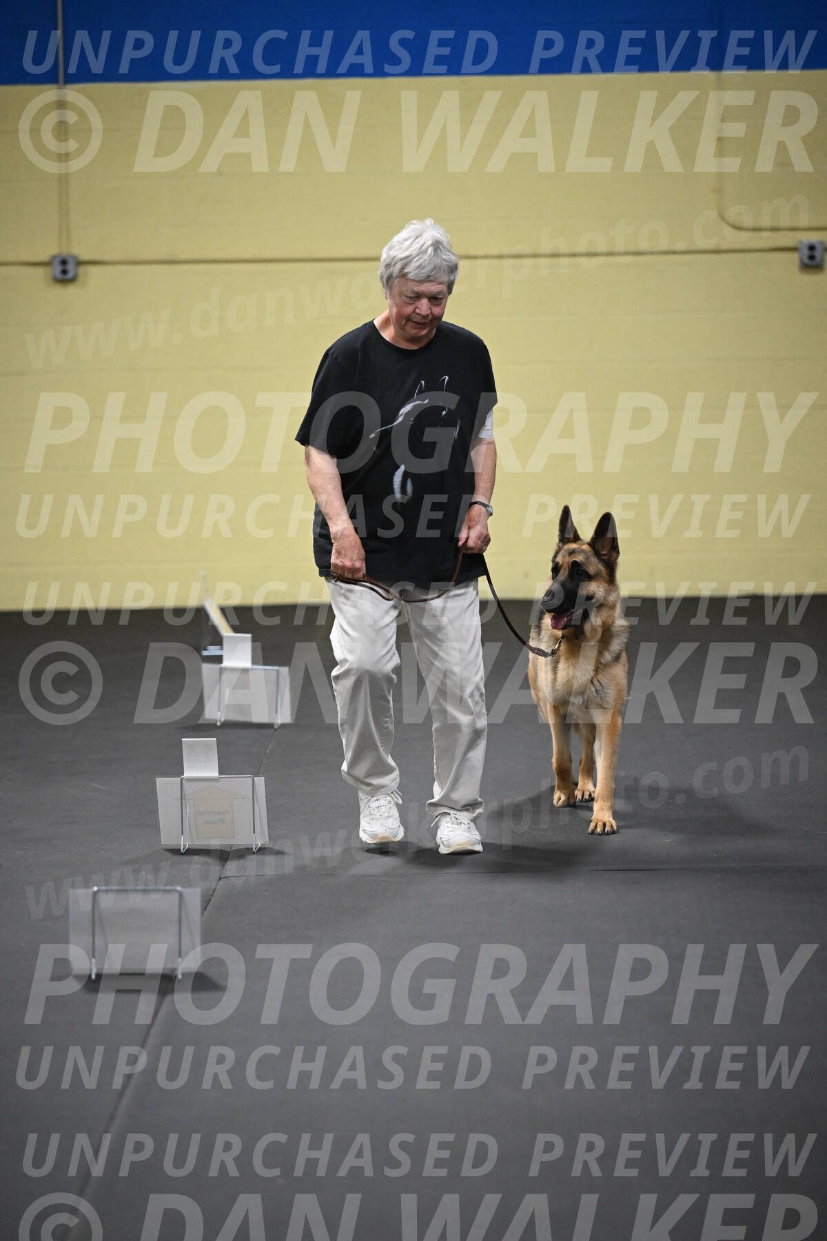 SUN201_0047