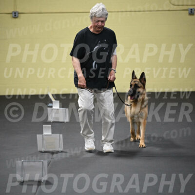 SUN201_0047