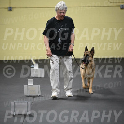 SUN201_0048