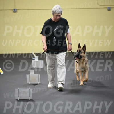 SUN201_0049