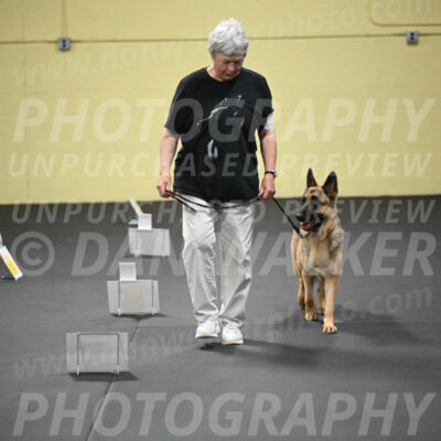 SUN201_0052
