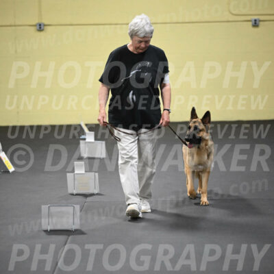 SUN201_0053