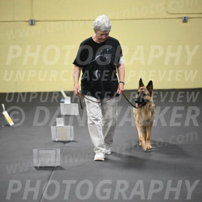 SUN201_0054