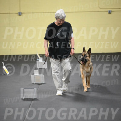 SUN201_0055