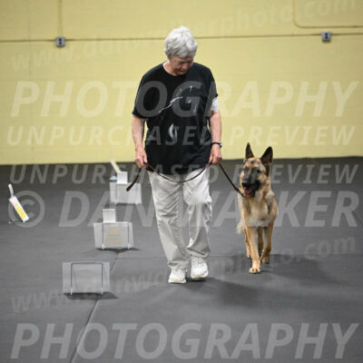 SUN201_0056
