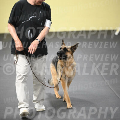 SUN201_0057